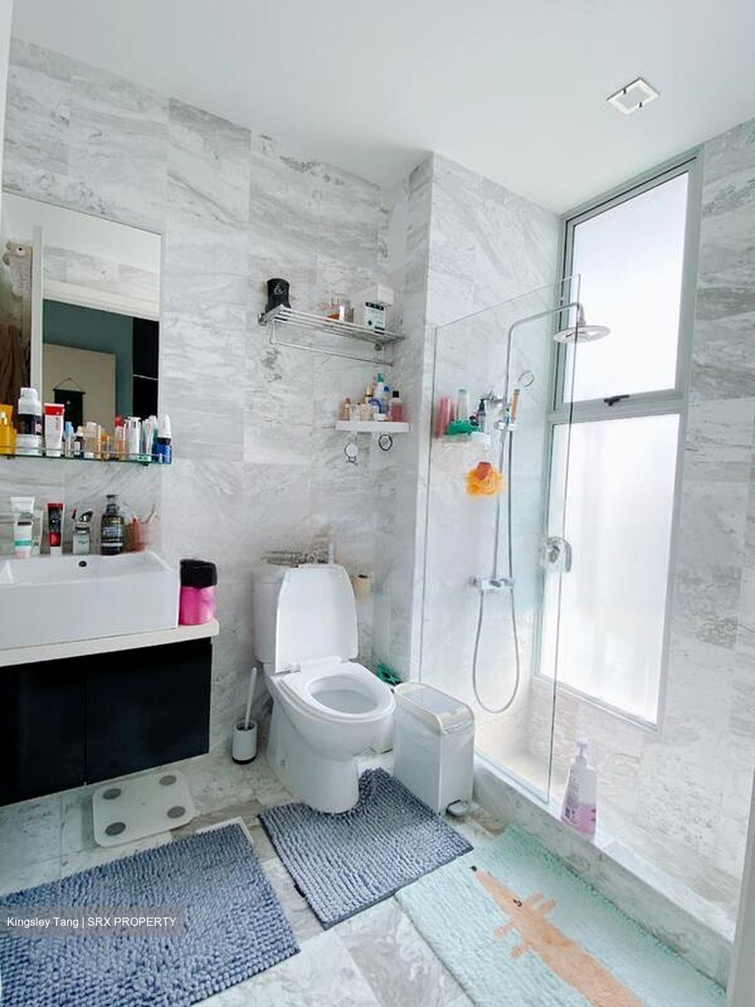Zenith (D10), Apartment #484225231